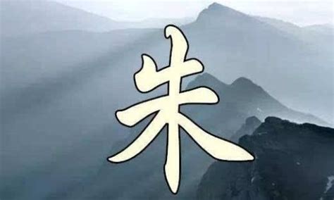 朱的名字